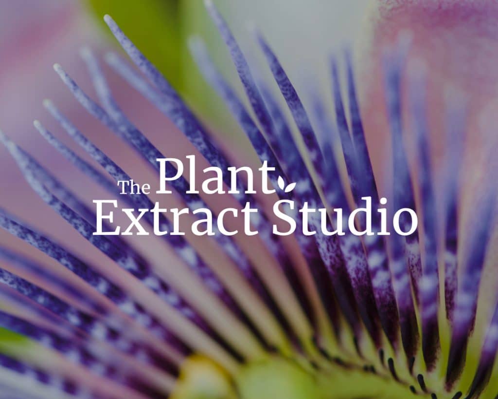 Creating unique high value-added ingredients: exploring the heart of The Plant Extract Studio